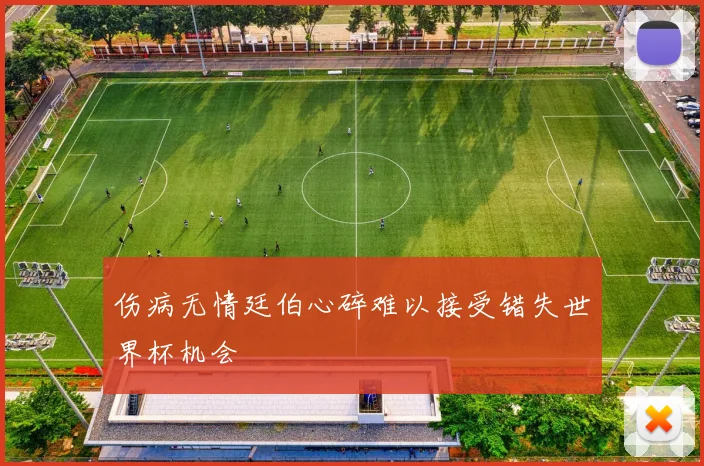伤病无情廷伯心碎难以接受错失世界杯机会